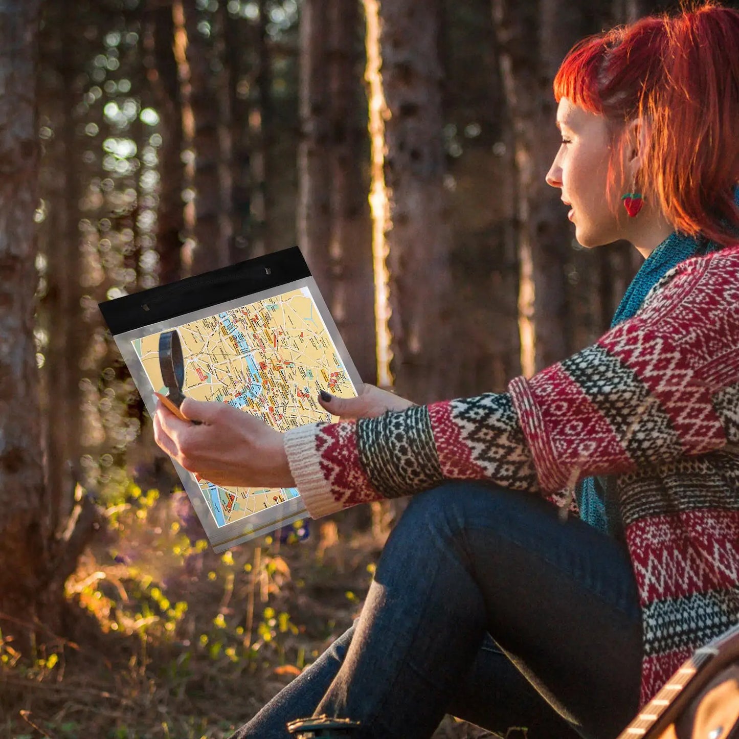 ALTRAE Waterproof Case