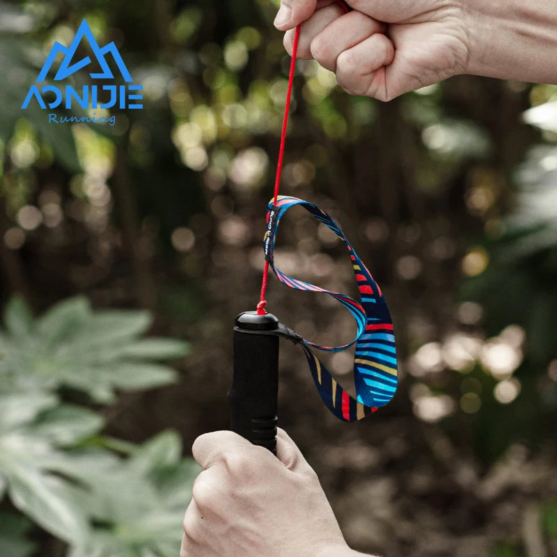 ALTRAE E4204 Carbon Poles