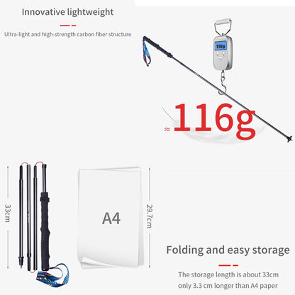 ALTRAE E4204 Carbon Poles